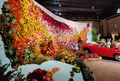 image-of-event-philadelphia-flower-show-pa-2024
