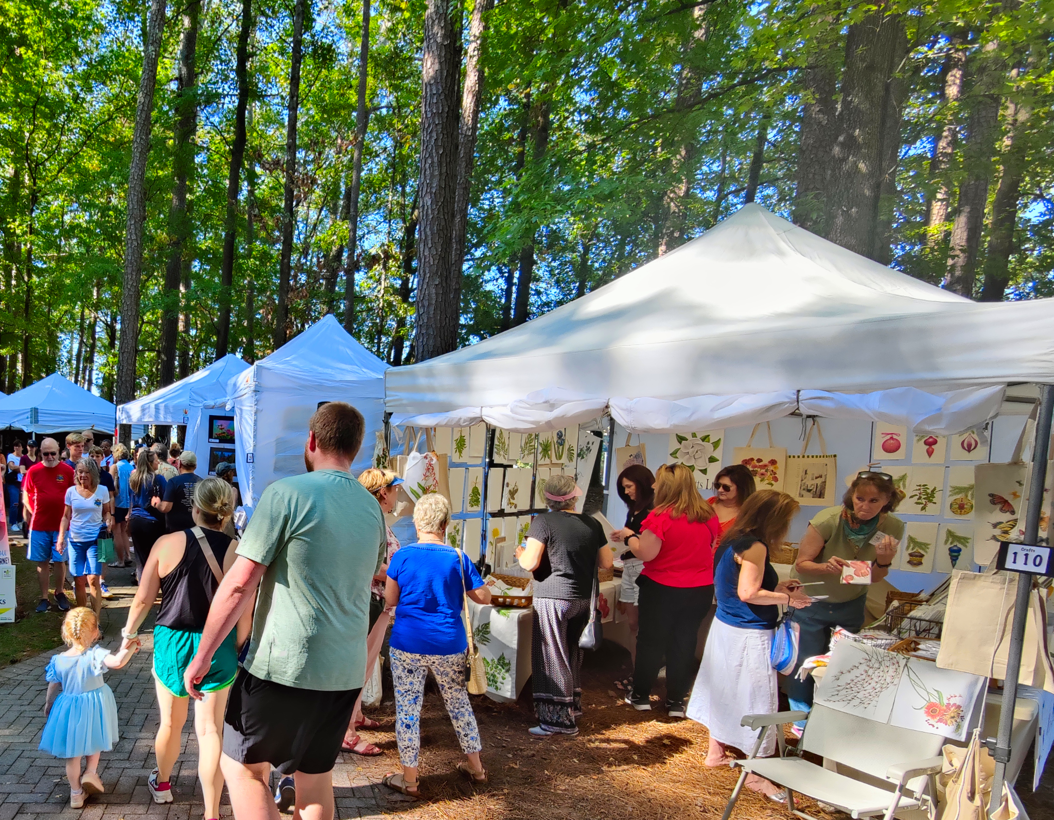 image-of-event-roswell-arts-festival-ga-2025