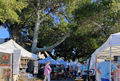 Art Under the Oaks GA 2025