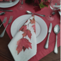 fall-leaves-dinner-napkins thumbnail 2
