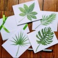 tropical-notecards thumbnail 1