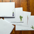vegetable-notecards thumbnail 2