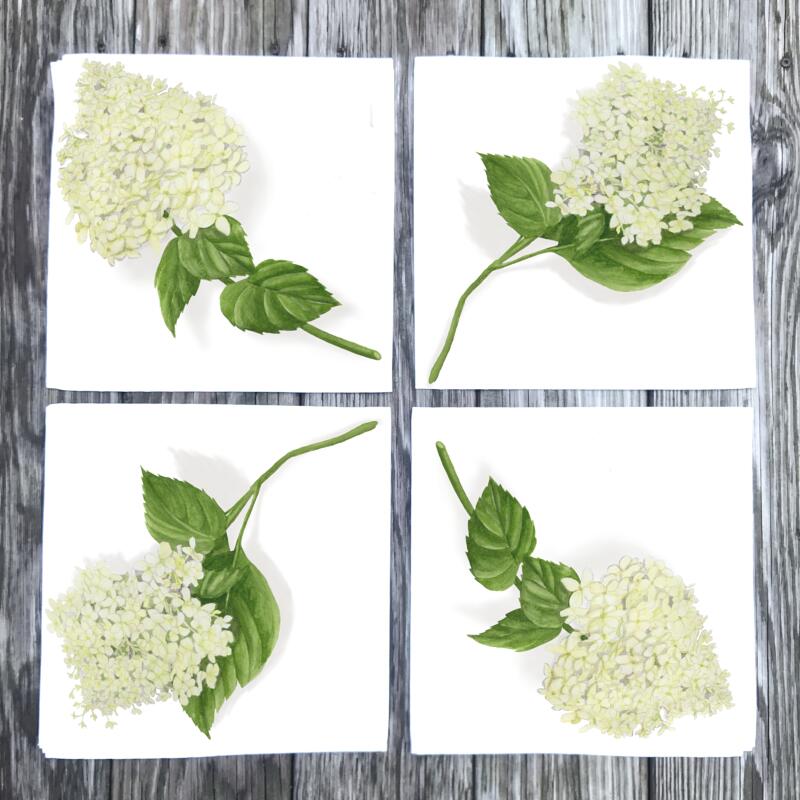 white-hydrangea-dinner-napkins