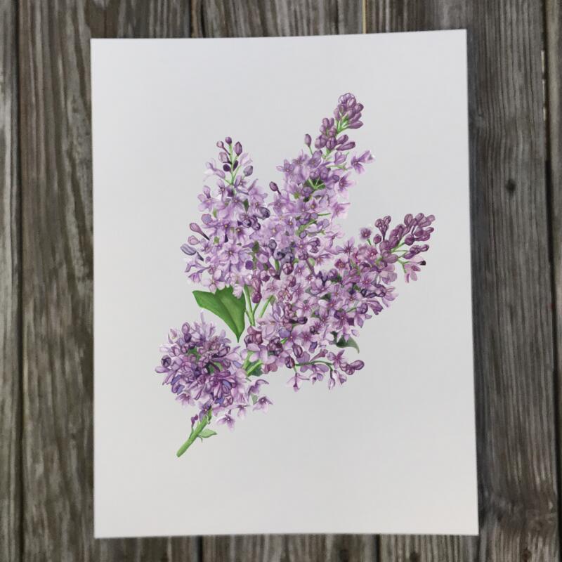 lilac-print