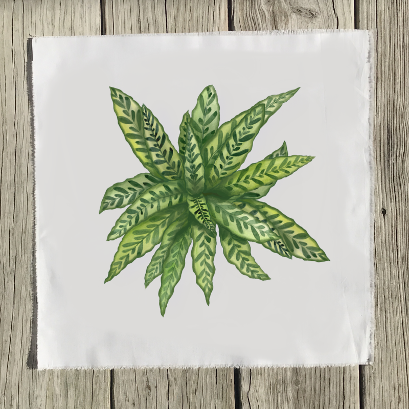 calethia-quilt-square