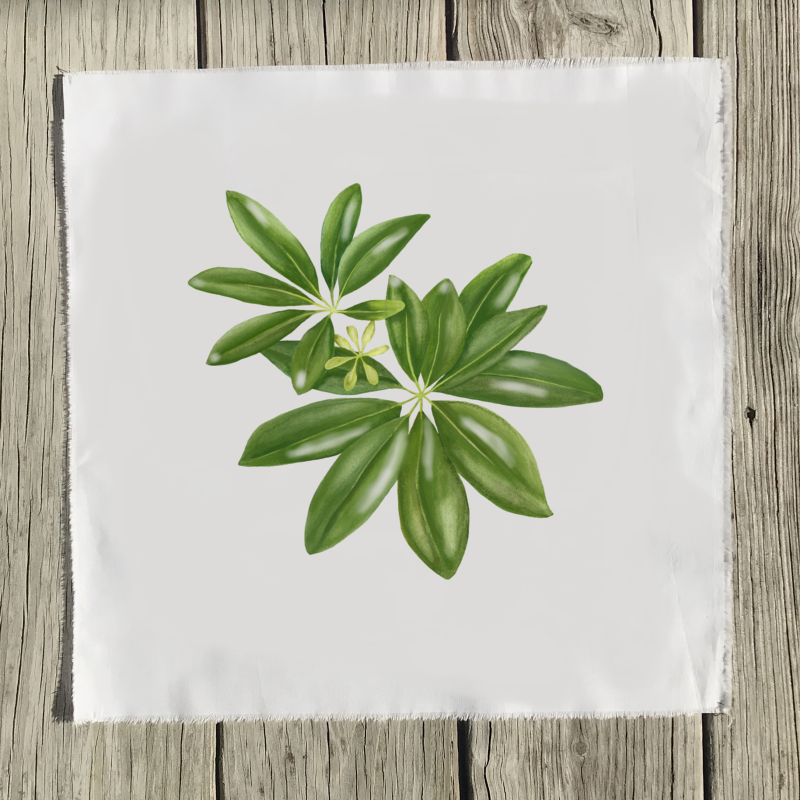 tropical-schefflera-quilt-square