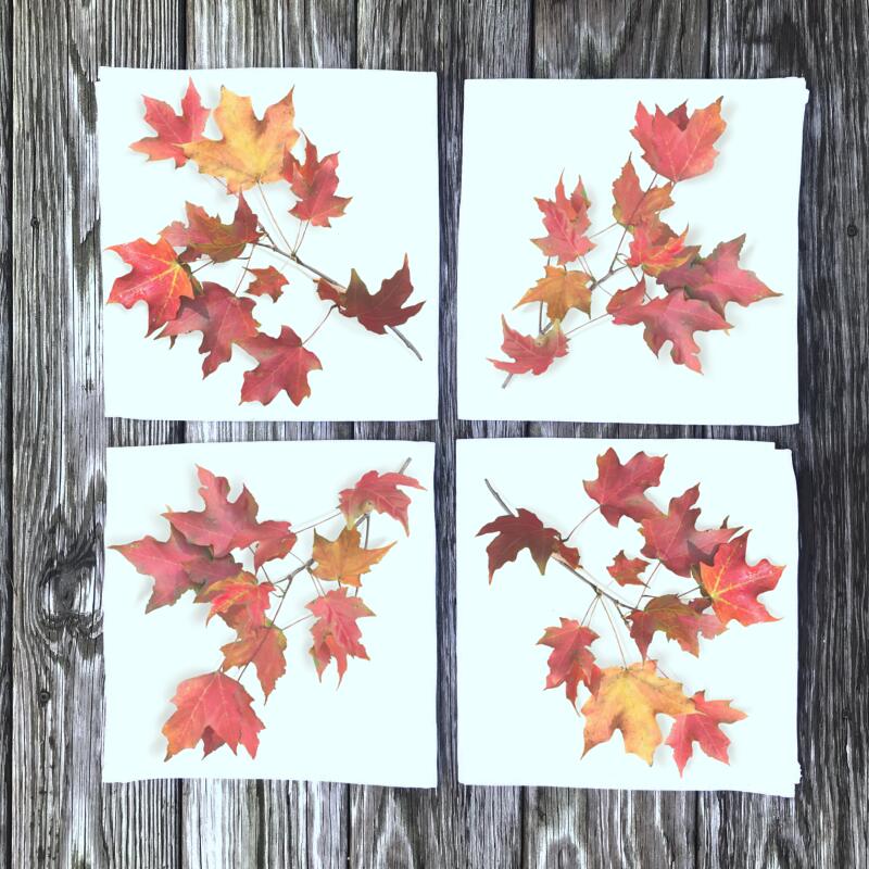 fall-leaves-dinner-napkins