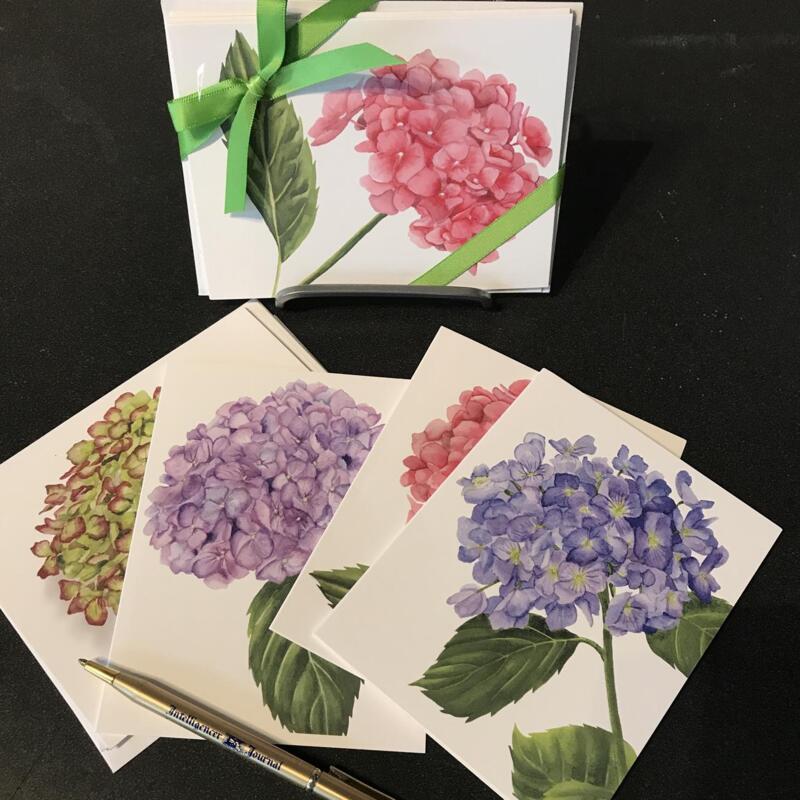 hydrangea-notecards