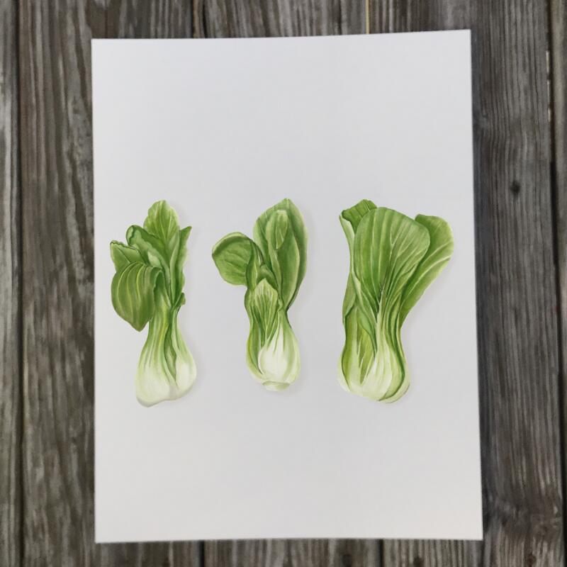 bokchoy-row-print