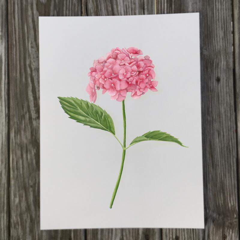 pink-hydrangea-print