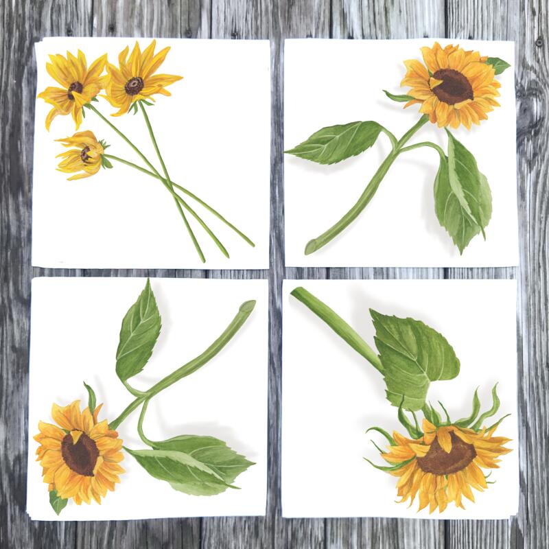 sunflower-assortment-napkins