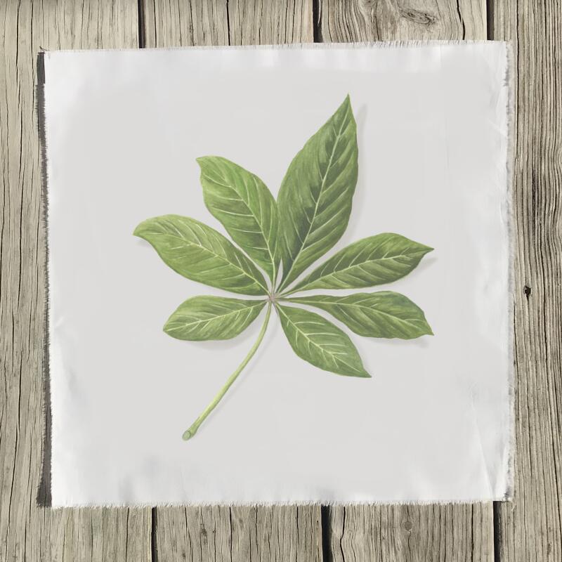 schefflera-quilt-square