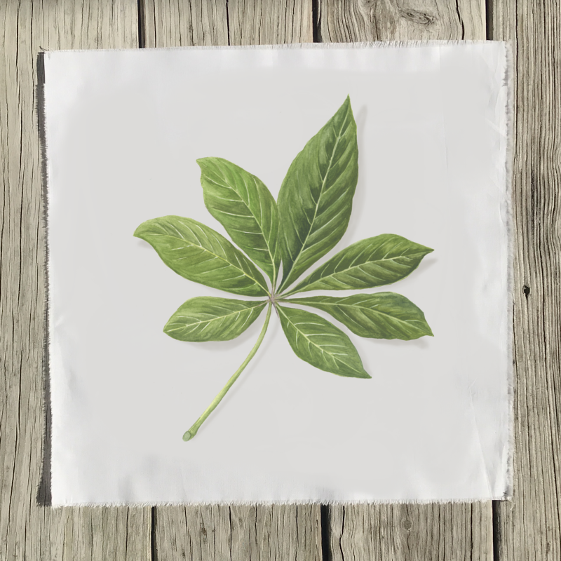 schefflera-quilt-square