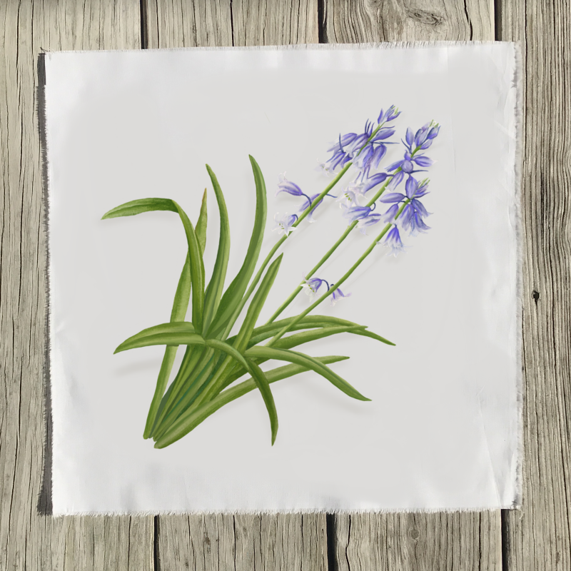 bluebell-“b”-quilt-square