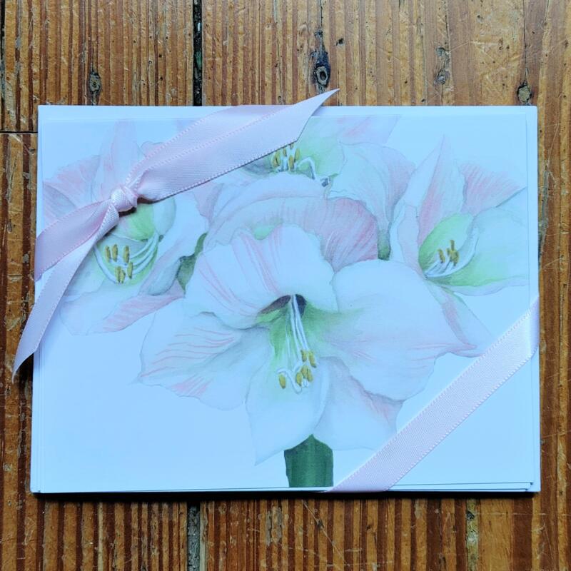 amaryllis-notecards