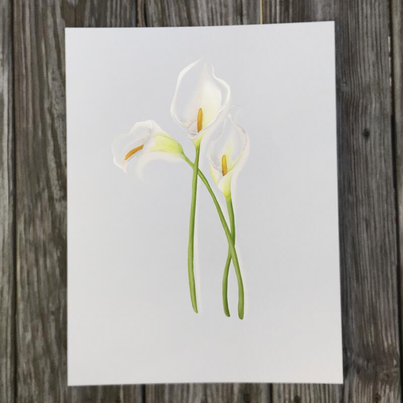 calla-lily-paper-print