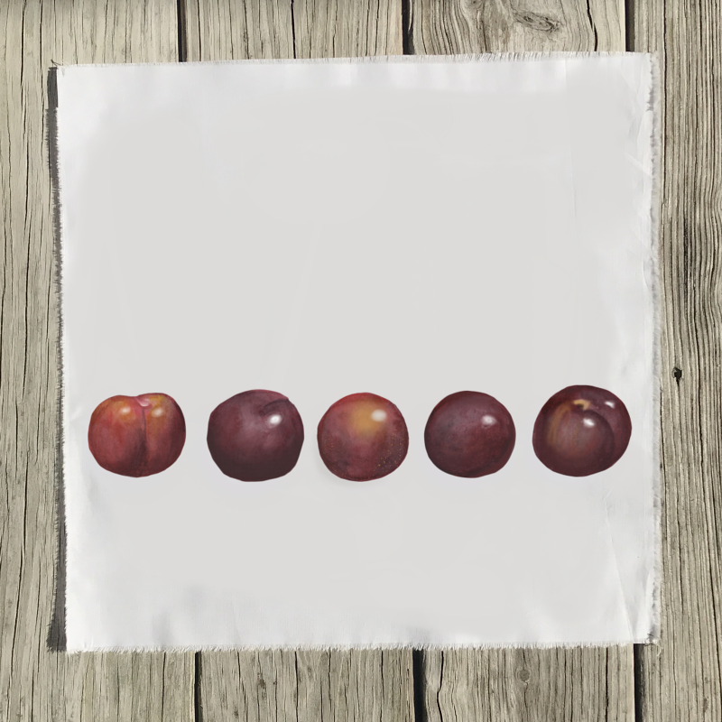 plums-quilt-square