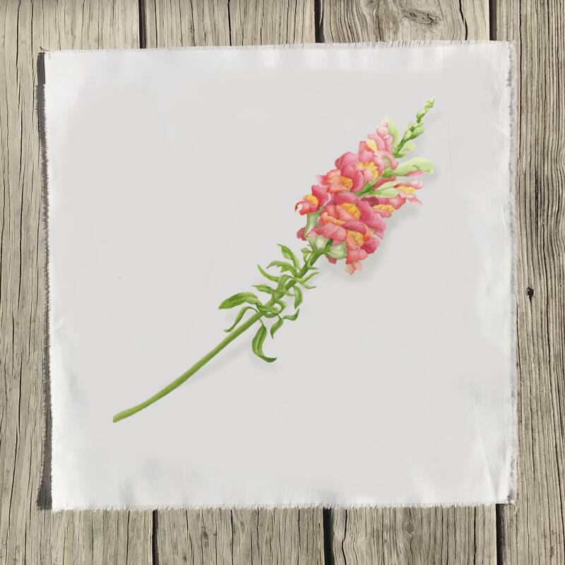 snapdragon-blush-quilt-square