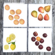 assorted-fruit-dinner-napkins thumbnail 1