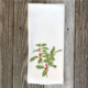 Holly Hand Towel