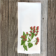 hypericum-handtowel thumbnail 1