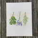 herb-print-with-lavender thumbnail 1