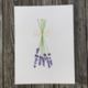 herb-lavender-print thumbnail 1