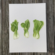 bokchoy-row-print thumbnail 1