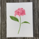 pink-hydrangea-print thumbnail 1