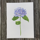 blue-hydrangea-print thumbnail 1
