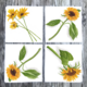 sunflower-assortment-napkins thumbnail 1