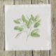 eucalyptus-quilt-square thumbnail 1