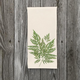 kew-fern-on-cotton-canvas thumbnail 1