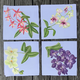 orchid-assortment-luncheon-napkins thumbnail 1