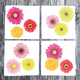 gerbera-dinner-napkins thumbnail 1