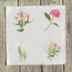 pinks-1-set-of-four-quilt-square thumbnail 1