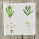 whites-1-set-of-four-quilt-square thumbnail 1