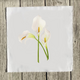 calla-lily-quilt-square thumbnail 1