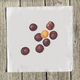 plum-1-quilt-square thumbnail 1