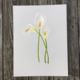 calla-lily-paper-print thumbnail 1