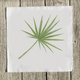 palmetto-quilt-square thumbnail 1
