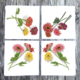 zinnia-swiss-dot-damask-napkins thumbnail 1
